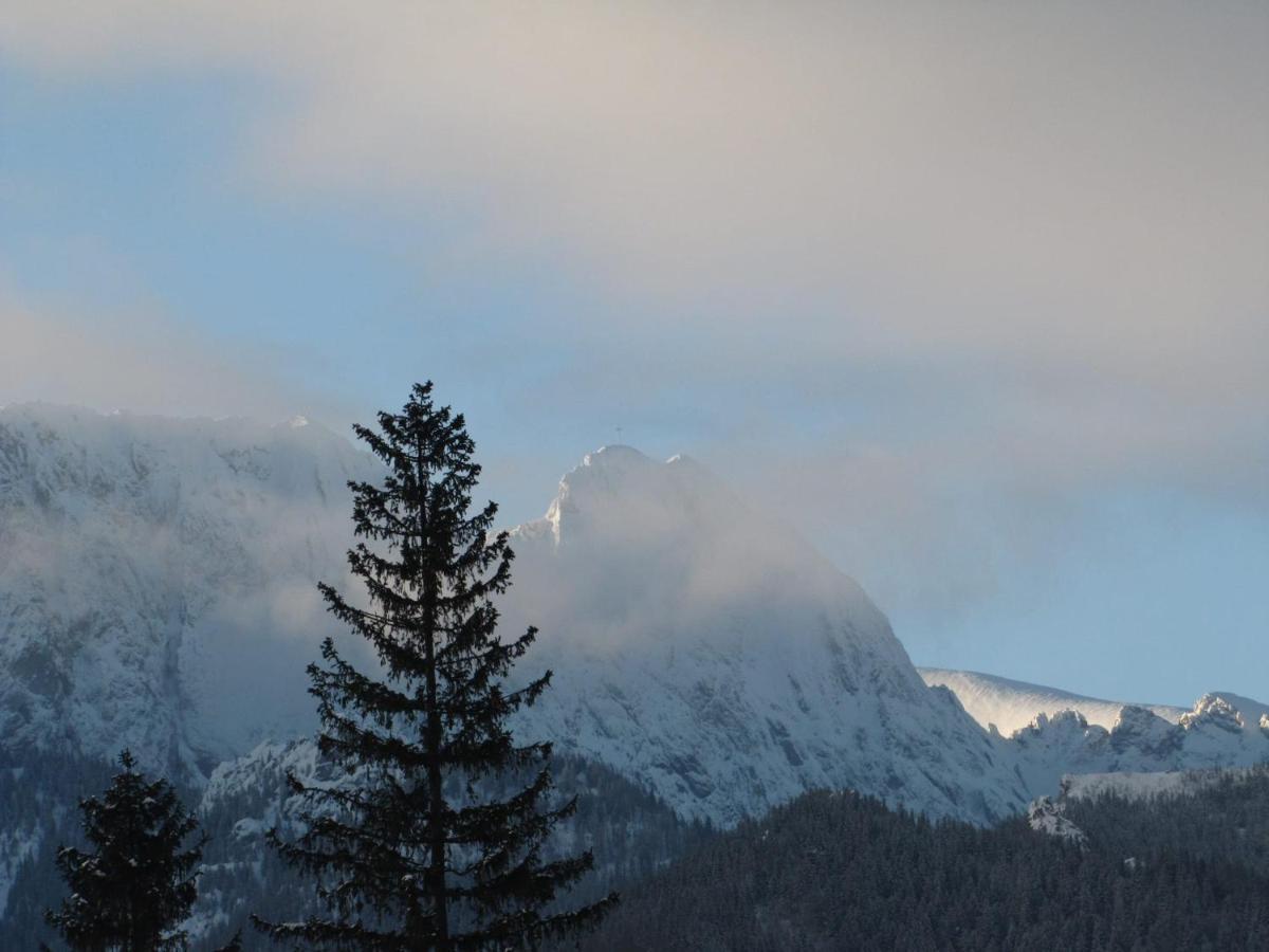 Domek Na Zaciszu Zakopane Eksteriør billede